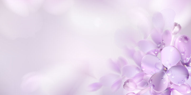 Light purple flowers on a soft white background