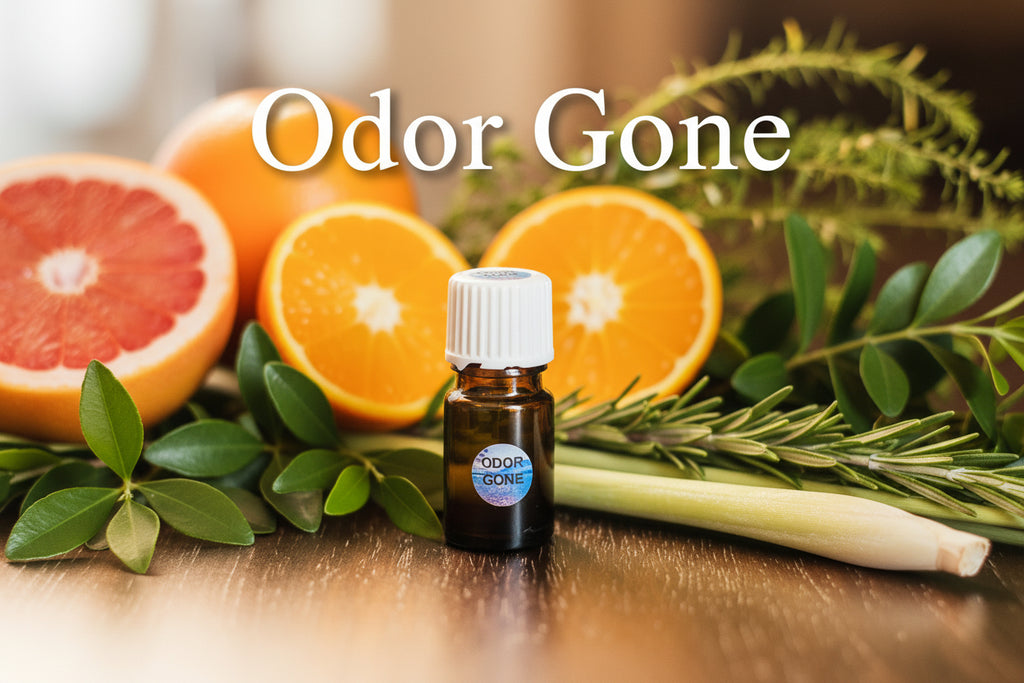 Handmade essential oil diffuser blend by Jen's Products for aromatherapy (Odor Gone blend)